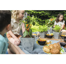 Kinderen zitten in de tuin met een plantenbak met paprika op een picknickkleed.