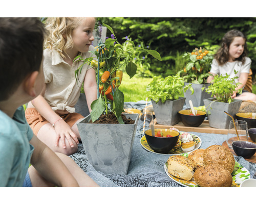 Kinderen zitten in de tuin met een plantenbak met paprika op een picknickkleed.