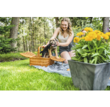 Tuinscene met picknickmand en hond