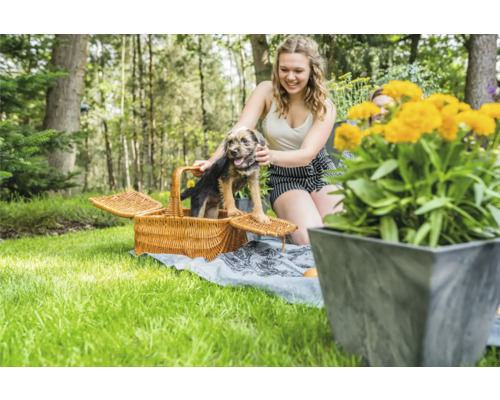 Tuinscene met picknickmand en hond