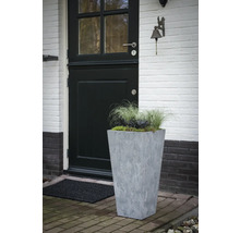 Scene met voordeur, deurmat en beplante plantenbak