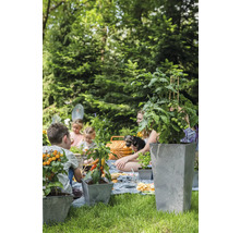 Tuinscene met familie en beplante plantenbakken op een picknickkleed