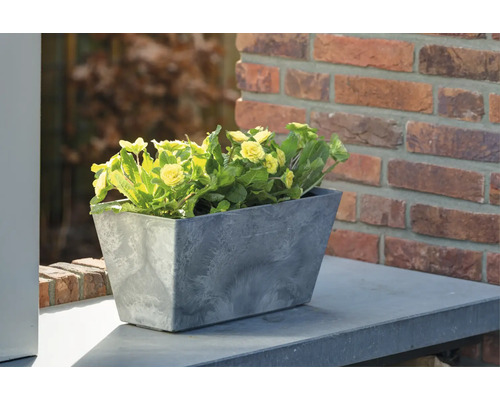Grijze kunststof plantenbak met gele bloemen op een terras