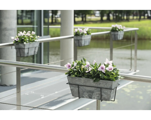 Bloembakken met paarse bloemen zijn bevestigd aan een reling en bieden een decoratieve tuininrichting.