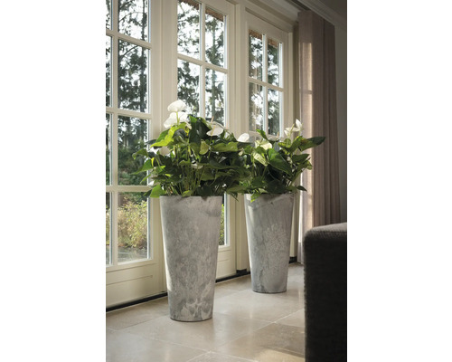 Twee anthuriumplanten in hoge, grijze plantenbakken voor een terrasdeur.