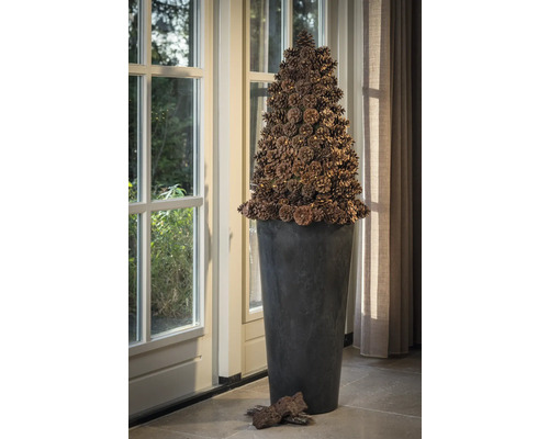 Decoratieve dennenappelpiramide in een plantenbak binnenshuis naast een raam.