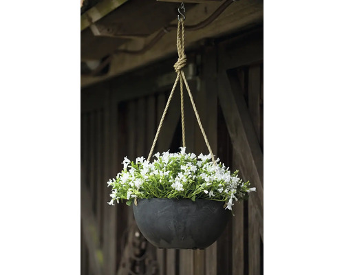 Hangende bloempot met witte bloemen en touwophanging