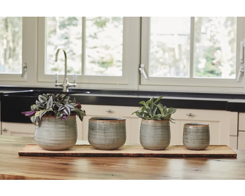 Vier keramische plantenpotten op een houten tafel, versierd met planten