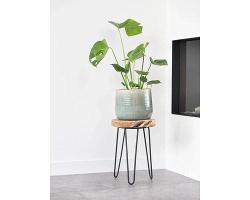 Monstera kamerplant in sierpot op een bijzettafel