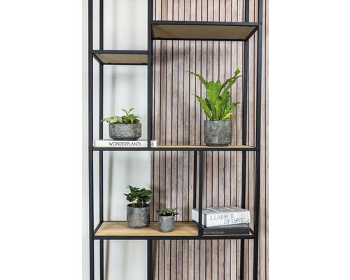 Decoratieve plank met planten en boeken voor interieurdecoratie