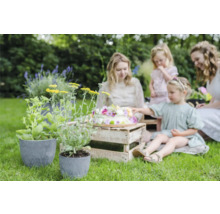 Tuinfeestscène met familie, taart en beplante potten buiten