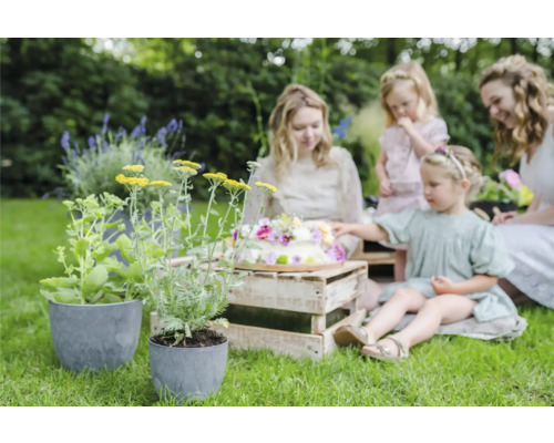 Familie viert feest met taart in de tuin, omringd door plantenpotten met gele en paarse bloemen