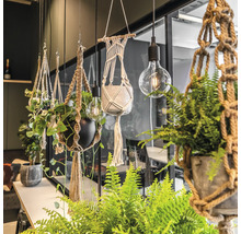 TS Macrame hanger bruin L 110 cm