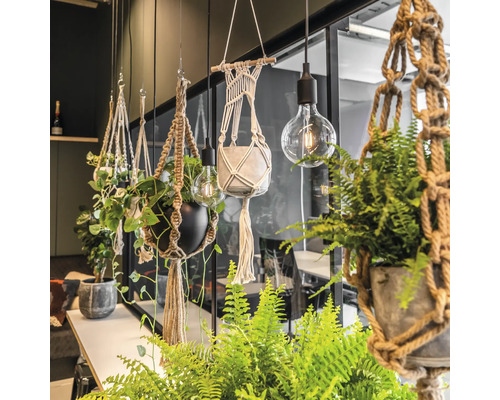 Decoratieve kamerplanten in macramé plantenhangers en gloeilampen hangen aan het plafond.