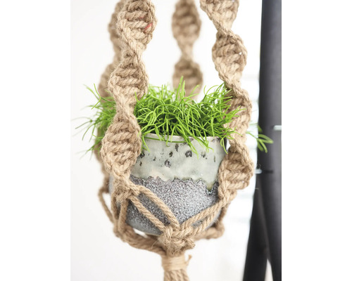 Planthanger van touw met pot en plant