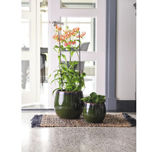 Decoratieve kamerplanten in groene potten op een deurmat voor een deur.