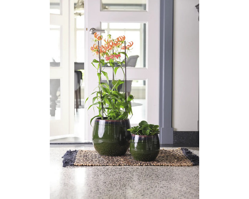 Decoratieve kamerplanten in groene potten op een deurmat voor een deur.