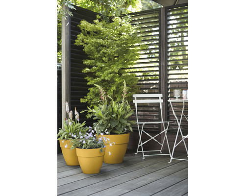 Terras met houten vloer, privacyscherm, stoel, tafel en plantenbakken met planten