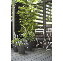 ELHO Bloempot Vibia Campana Kunststof antraciet Ø 40 cm H 33,4 cm