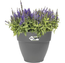 ELHO Bloempot Vibia Campana Kunststof antraciet Ø 40 cm H 33,4 cm