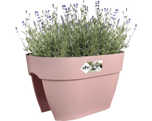 Balkon bloempot met lavendel