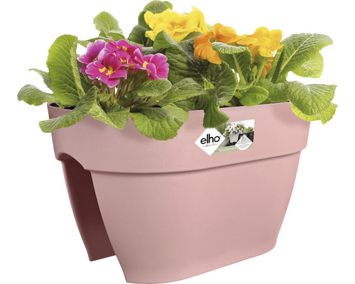 Bloembak met kleurrijke bloemen