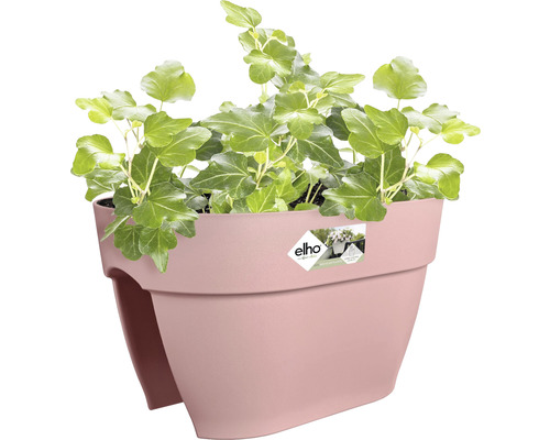 Bloembak met klimop voor het balkon