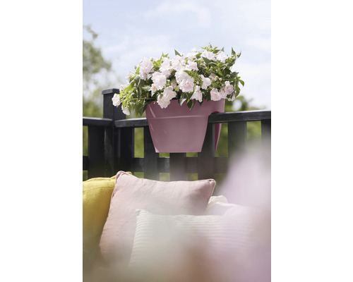 Balkonbak met wit bloeiende planten aan de balkonreling