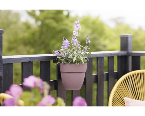 Balkonscène met beplante hangpot aan een reling