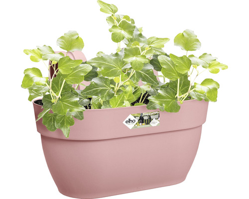 Wandbloempot beplant met klimop