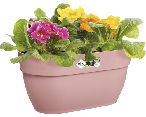 Bloembak met gele en roze primula''s