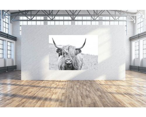SPECIAL DECORATION Wanddoek Buffel 224x160 cm