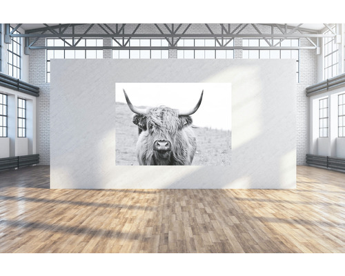 SPECIAL DECORATION Wanddoek Buffel 224x160 cm SPECIAL DECORATION Wanddoek Buffel 224x160 cm