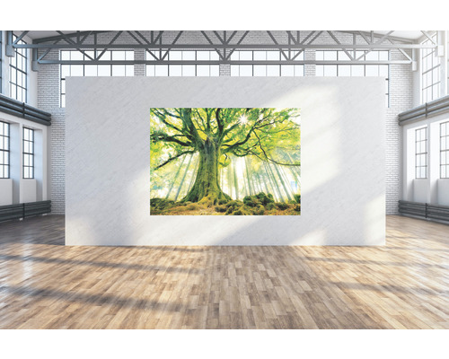 SPECIAL DECORATION Wanddoek Oerboom 224x160 cm
