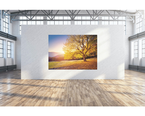 SPECIAL DECORATION Wanddoek Gouden Boom 224x160 cm
