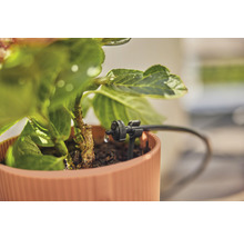Druppelbewatering in bloempot voor tuinbewatering