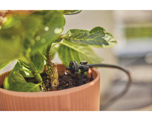 Druppelbewatering in bloempot voor tuinbewatering