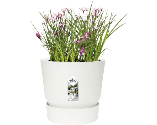 Bloempot met bloemen en Elho logo