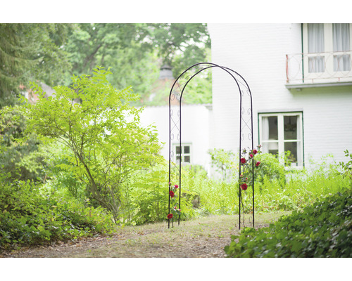 Tuinaanzicht met rozenboog en planten