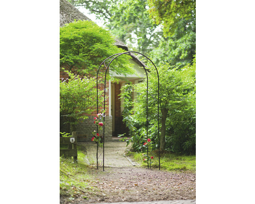 Tuinaanzicht met rozenboog langs pad