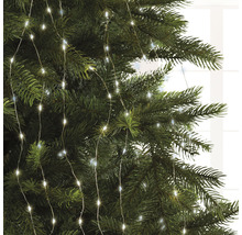 Kerstboom met lichtsnoer