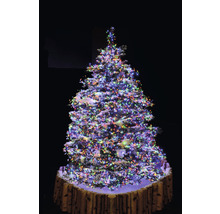 Versierde kerstboom met veelkleurige lichtjes en boomstamstandaard