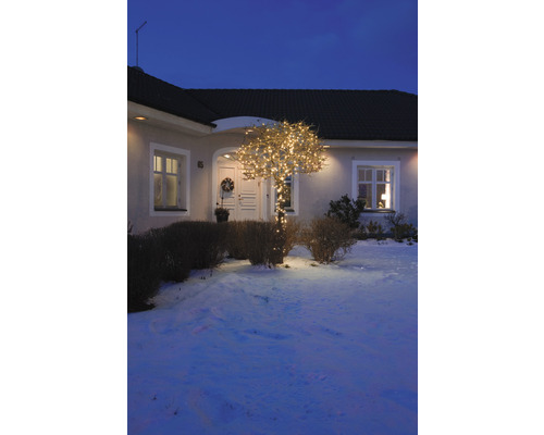 Verlichte boom in de winter voor een huis.