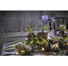 Decoratieve tafel met bloemen, groenten en fruit