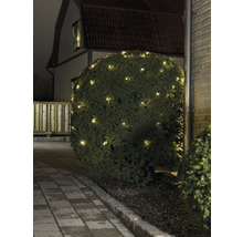 Verlichte struik met lichtsnoer in de tuin.