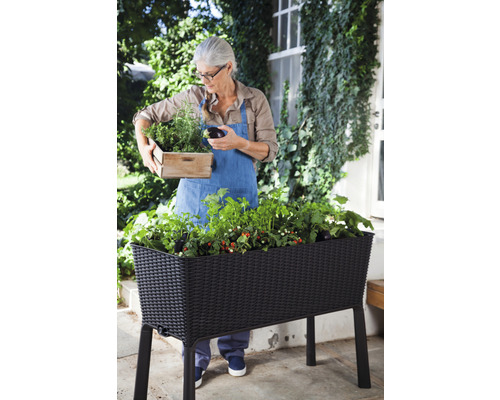 Vrouw met kruiden en een verhoogde tuinbak in de tuin