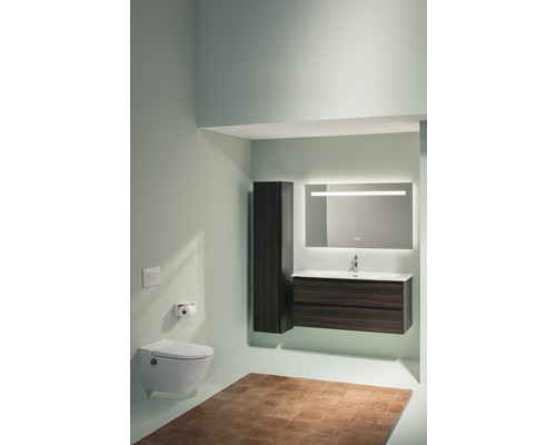 Moderne badkamer met toilet, wastafelmeubel, spiegelkast en hoge kast.