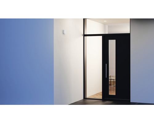 Scene met voordeur, glazen raam en bewegingsmelder aan de muur