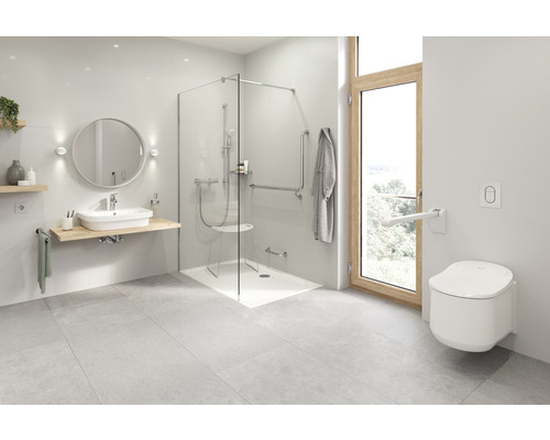 Toegankelijke badkamer met douche, toilet, wastafel en handgrepen