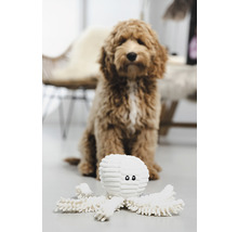 Hond met speelgoed octopus